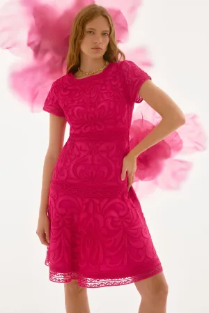 Embroidered Mesh Fit and Flare Dress
