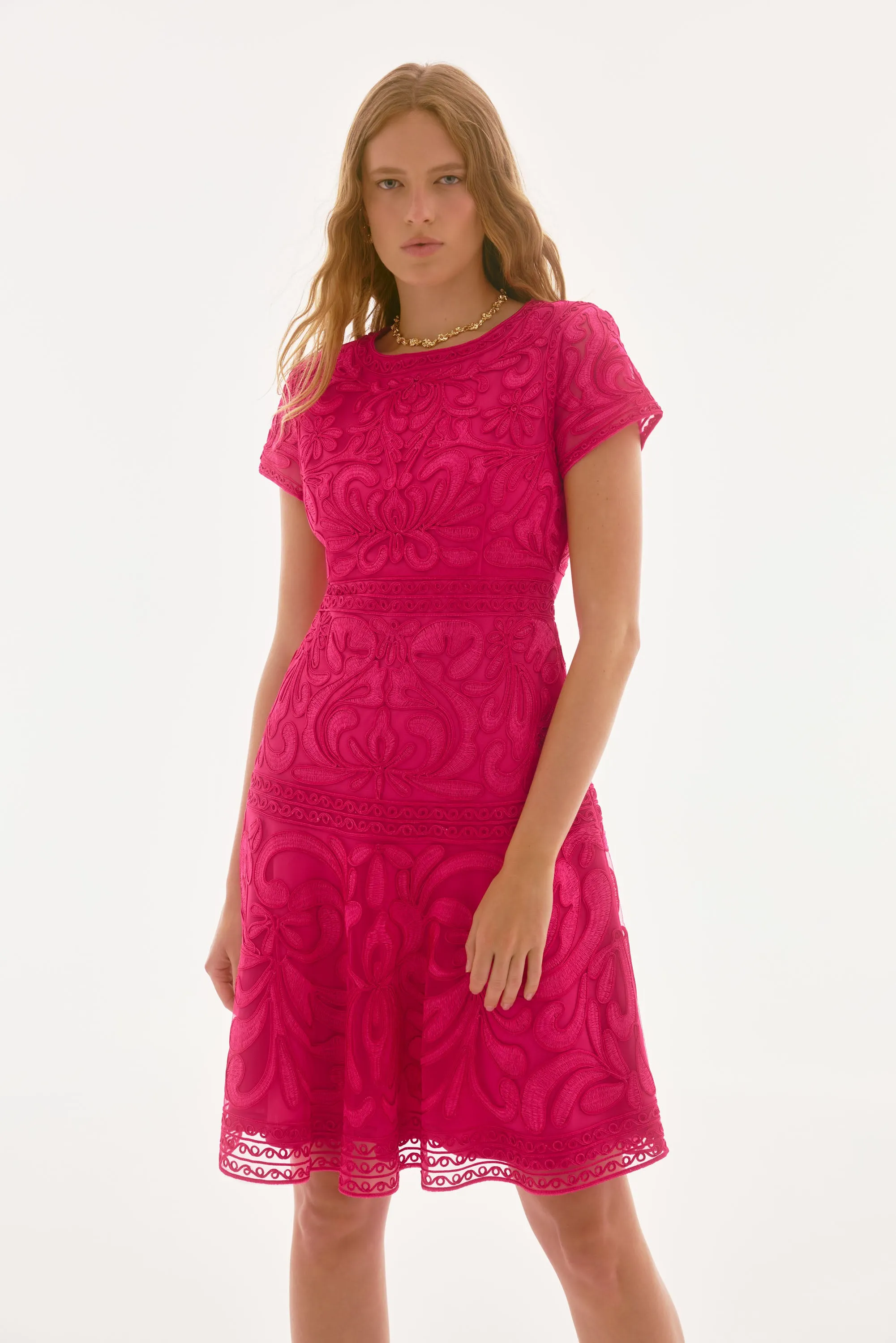 Embroidered Mesh Fit and Flare Dress