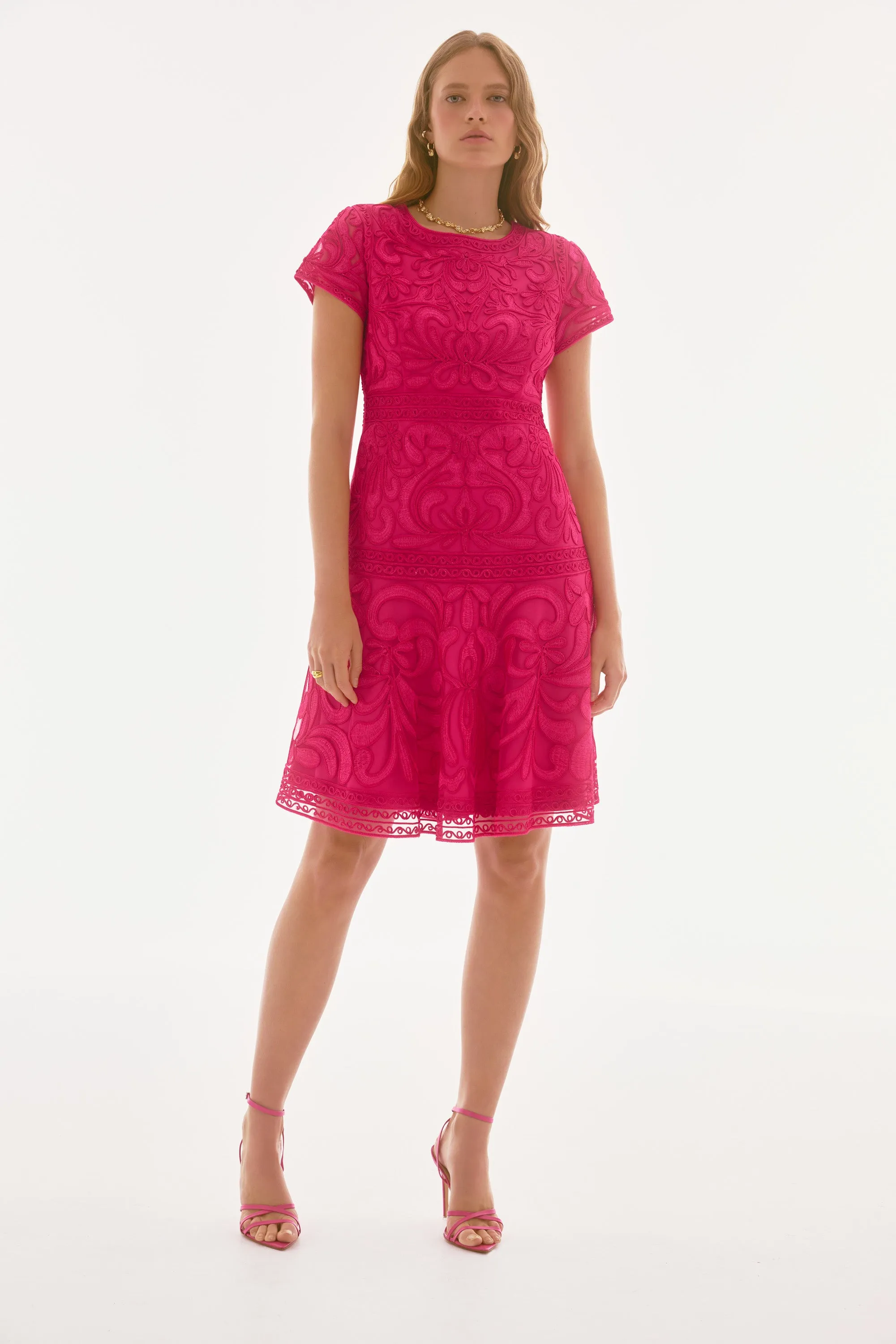 Embroidered Mesh Fit and Flare Dress